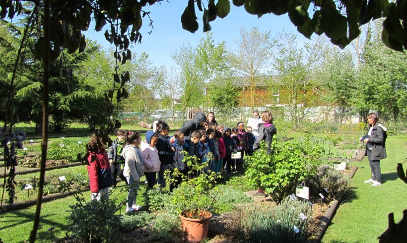 Offre de stage – Education à l’environnement