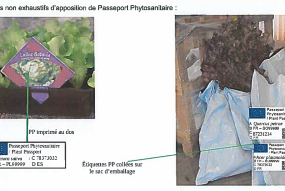 (Français) Information règlementaire : évolution du Passeport Phytosanitaire Européen au 14 décembre 2019