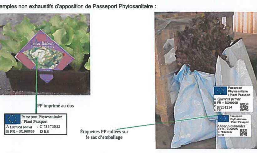 Information règlementaire : évolution du Passeport Phytosanitaire Européen au 14 décembre 2019