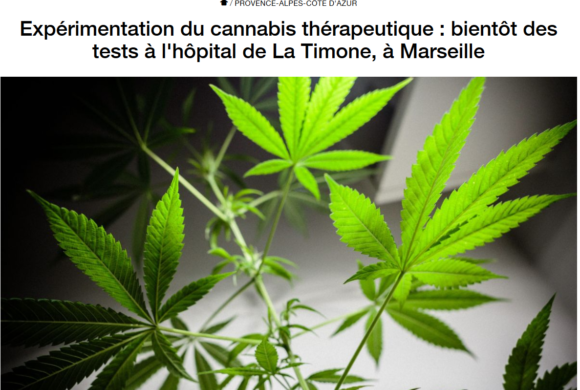 Expérimentation du Cannabis thérapeutique