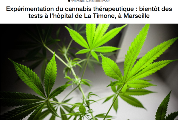 (Français) Expérimentation du Cannabis thérapeutique