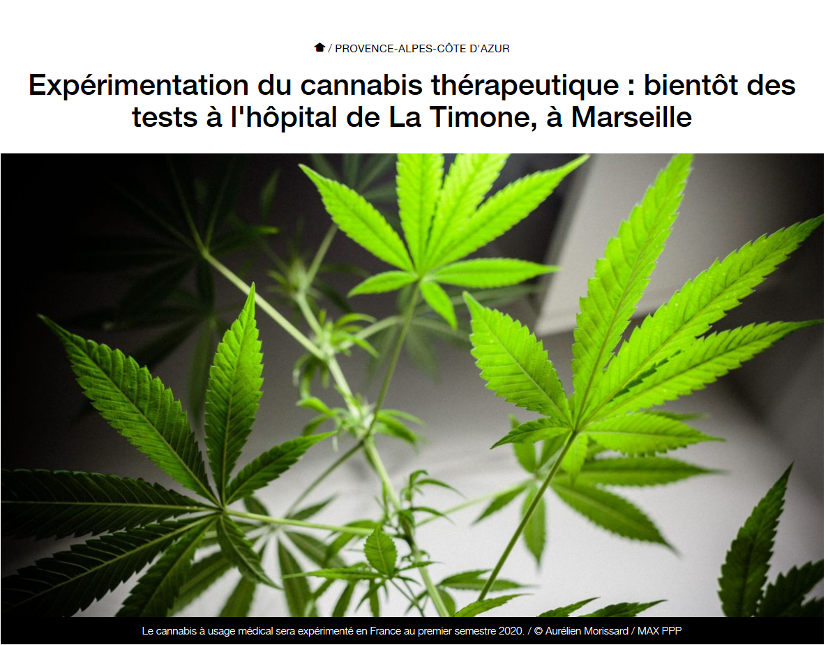 Expérimentation du cannabis thérapeutique