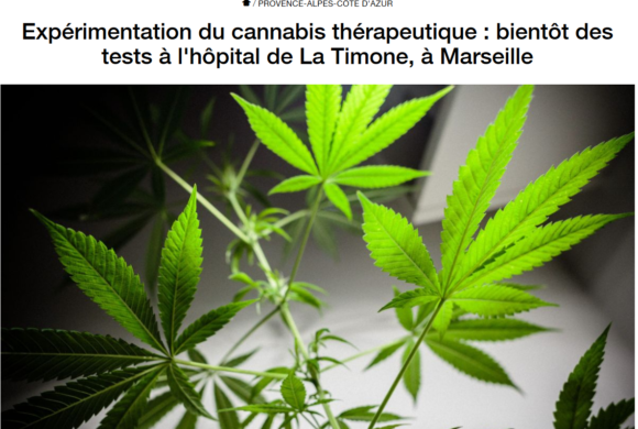 Expérimentation du Cannabis thérapeutique Expérimentation du Cannabis thérapeutique