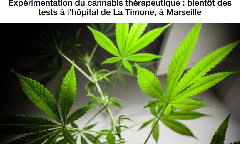 (Français) Expérimentation du Cannabis thérapeutique