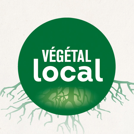 Vig_Vegetal_local