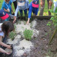 (Français) Offre de stage – Education à l’environnement