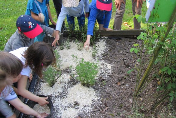 (Français) Offre de stage – Education à l’environnement