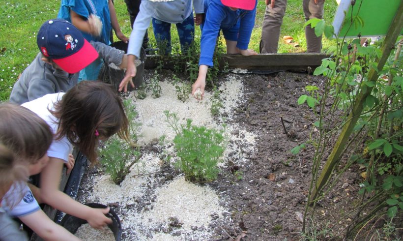 Offre de stage – Education à l’environnement