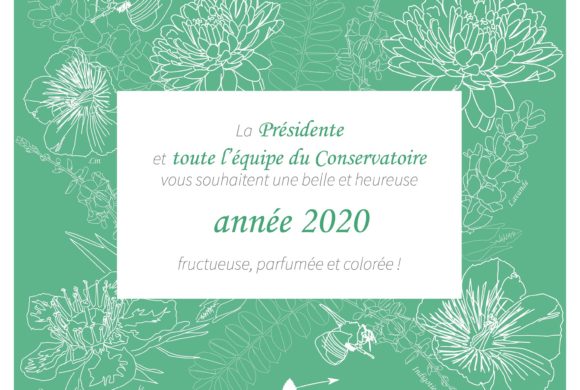 Vœux 2020 et rétrospective 2019