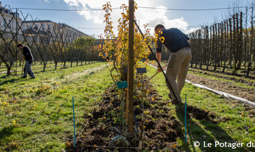 (Français) « Mon potager, c’est le Potager du Roi »