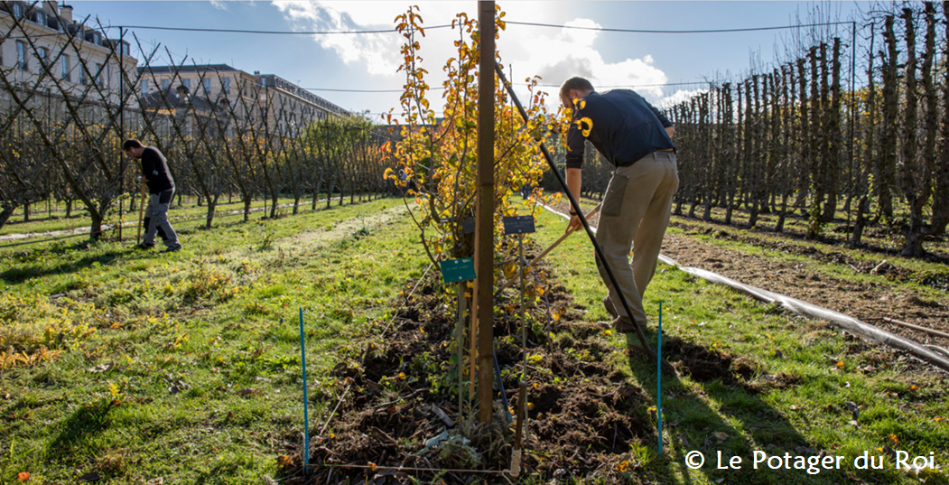 ©Le Potager du Roi 