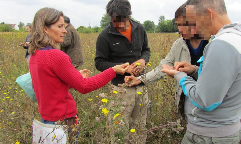 (Français) Focus sur : Sarah Martineau, intervenante du stage « Produire des semences et plants de PPAM »