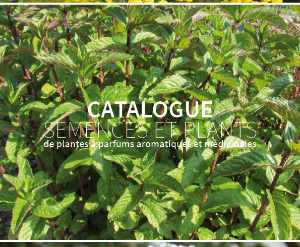 (Français) Catalogue 2021