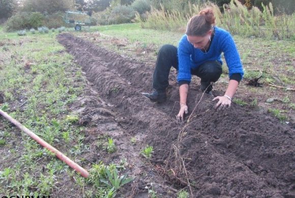 Une méthode innovante d’itinéraire technique : les planches permanentes