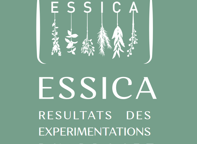 ESSICA, projet transfrontalier sur le séchage des PPAM