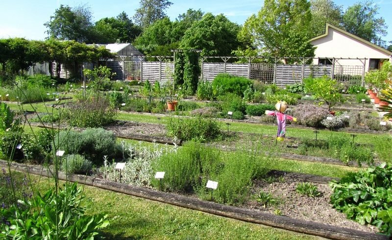 Pour préserver la biodiversité des espèces cultivées : naissance d’un Fonds de dotation