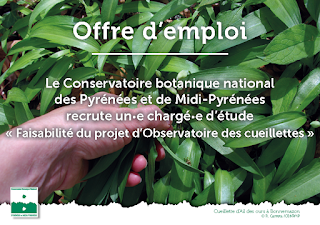 (Français) Le CBN PMP recrute un chargé d’études pour étudier la faisabilité d’un projet d’observatoire des cueillettes.