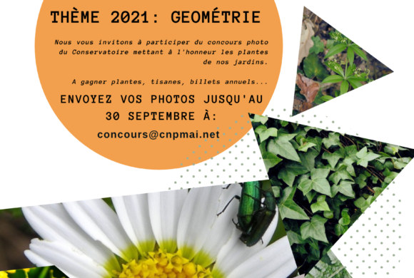 (Français) Concours photo thème “Géométrie”