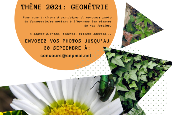 Concours photo thème “Géométrie”