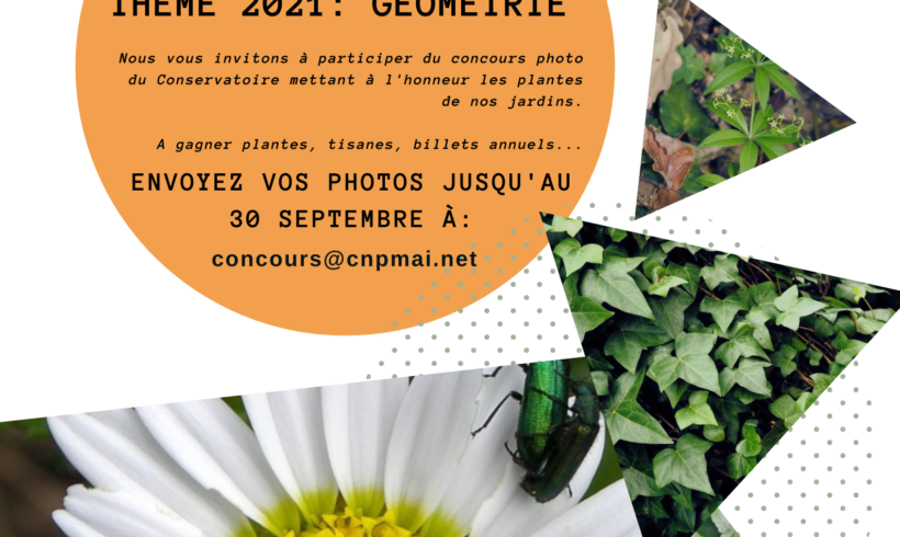 Concours photo thème “Géométrie”