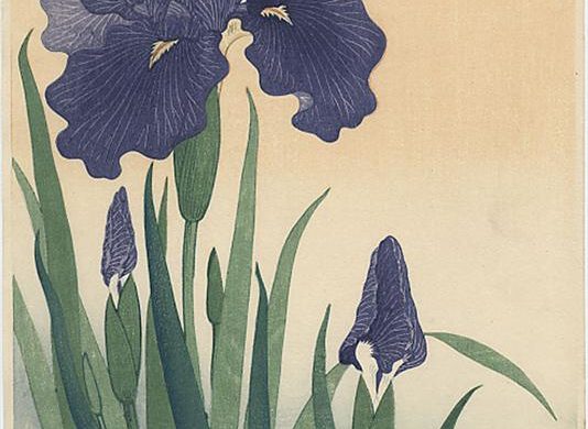 Art et nature : Les iris d’Ohara Koson