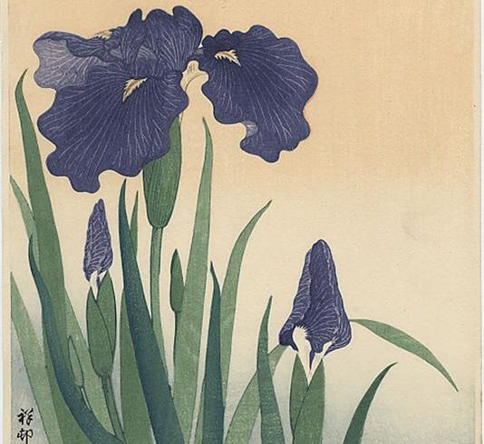 (Français) Art et nature : Les iris d’Ohara Koson