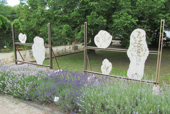 Exposition d’œuvres d’art sur la nature au Conservatoire en partenariat avec le Cyclop