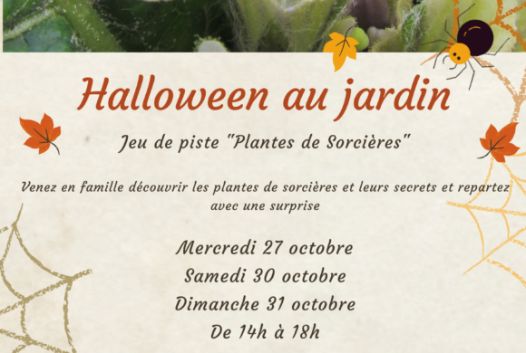 Halloween au jardin