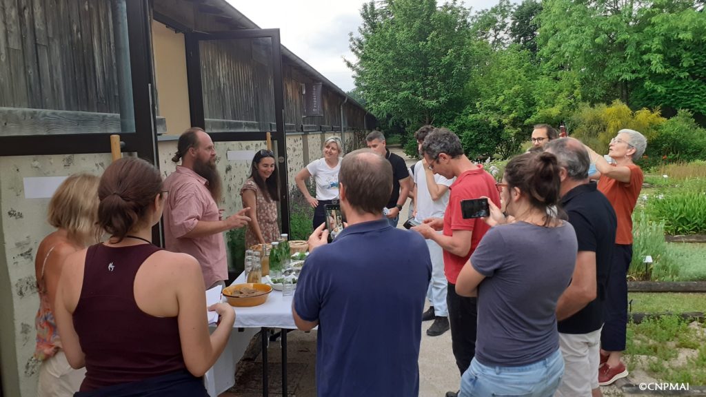 Dégustation dans le jardin