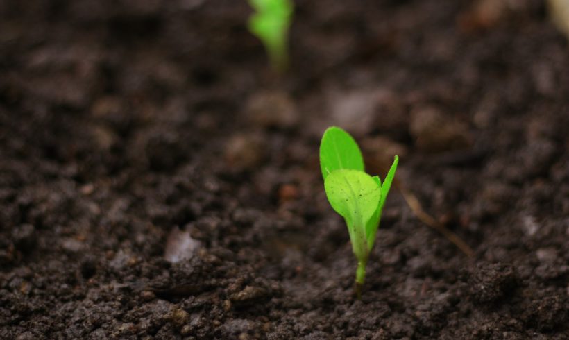 Le vocabulaire et les concepts de l’agronomie et de l’agroécologie