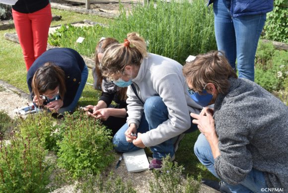 Programme des stages à venir