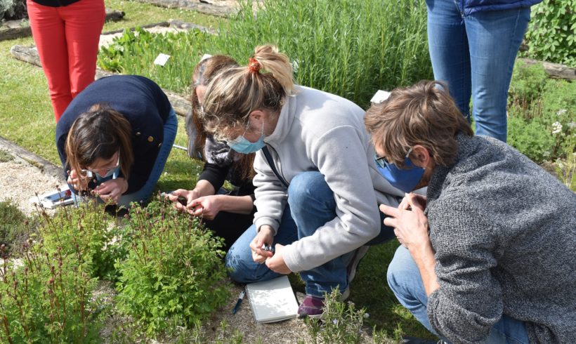 Programme des stages à venir