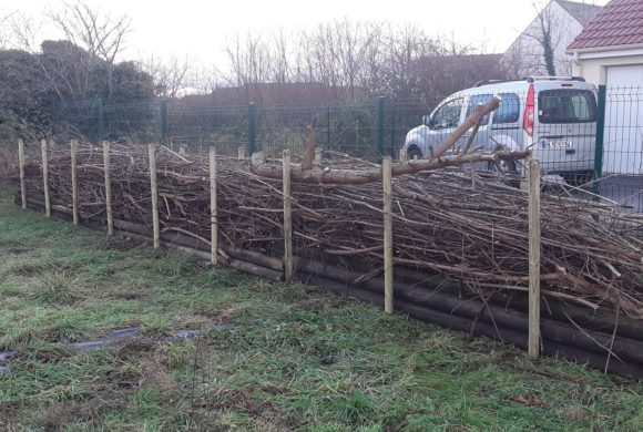 (Français) Une haie pour valoriser des déchets végétaux : la haie de Benjes