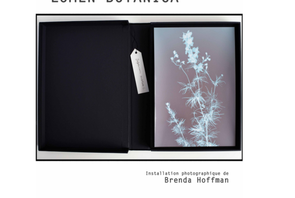 Exposition « Lumen Botanica » de Brenda Hoffman à Paris