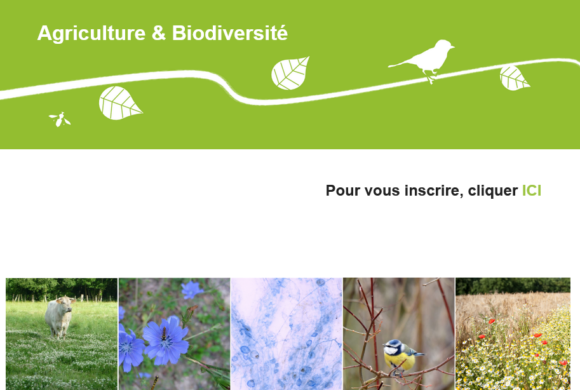 La journée CASDAR « Agriculture et biodiversité » disponible en replay