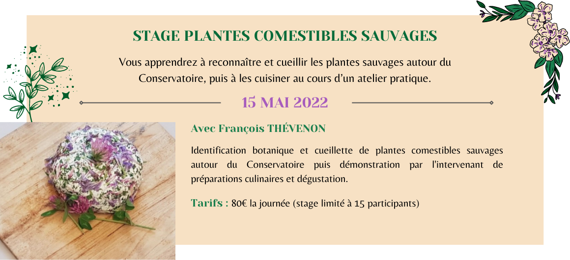 Banderole Web – Stage Plantes Comestibles Sauvages