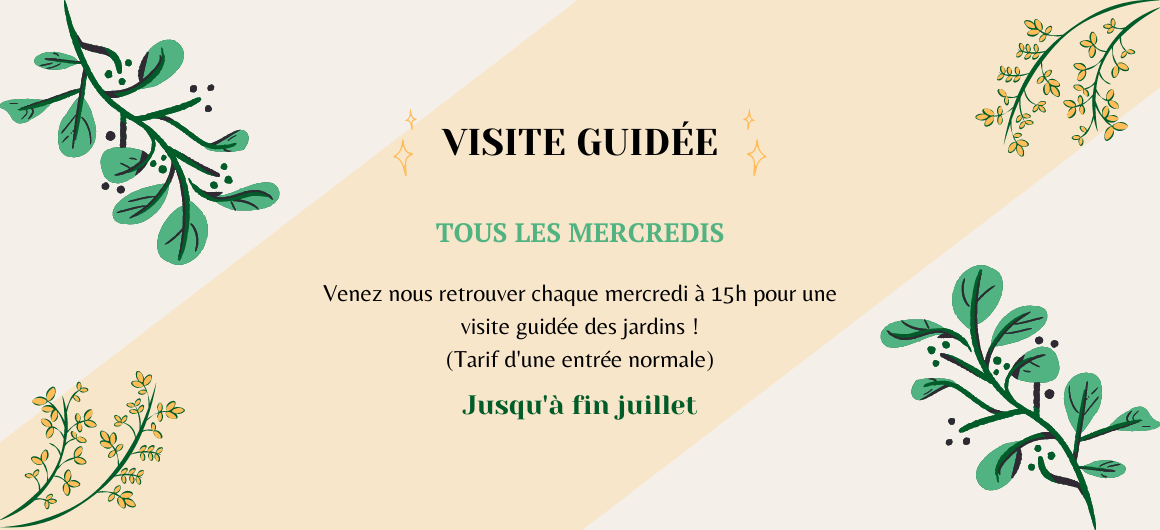Banderole Web – Visites Guidées