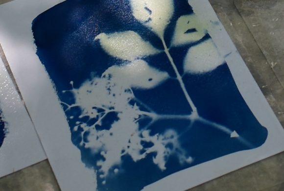 Stage Cyanotype avec Brenda Hoffman