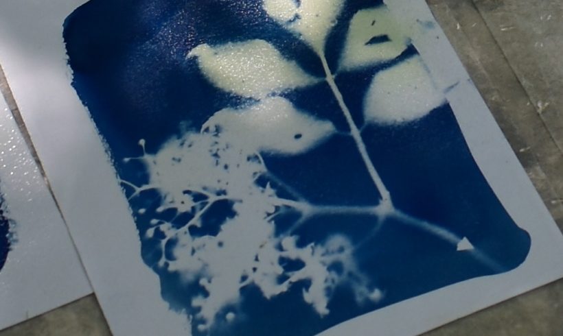 Stage Cyanotype avec Brenda Hoffman