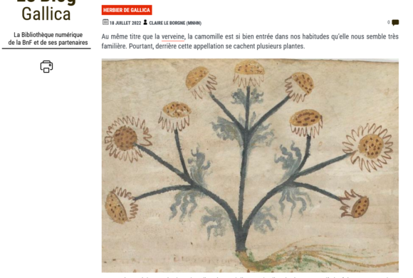 (Français) Histoires de fleurs