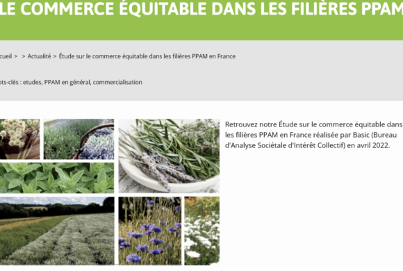 (Français) Parution d’une étude de FranceAgriMer sur le commerce équitable dans la filière PPAM