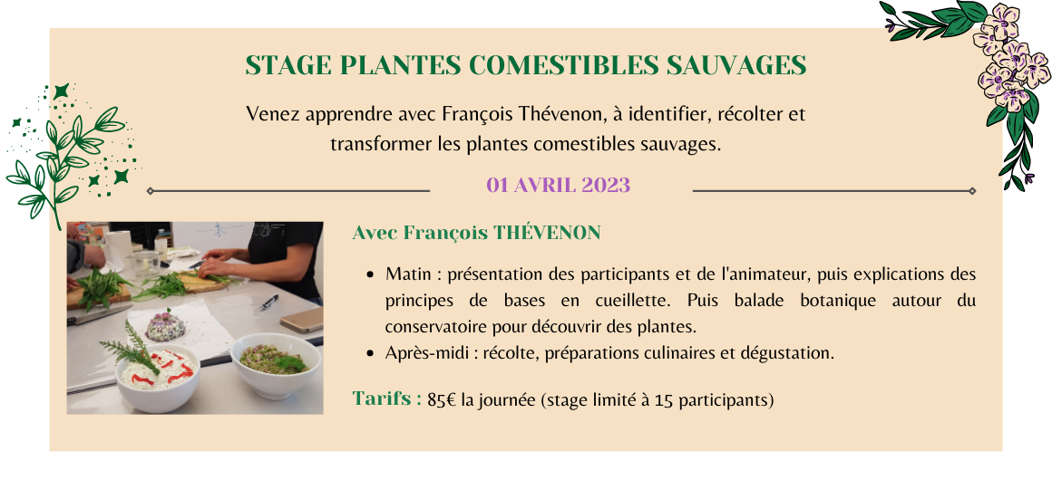 Stages Comestibles sauvage