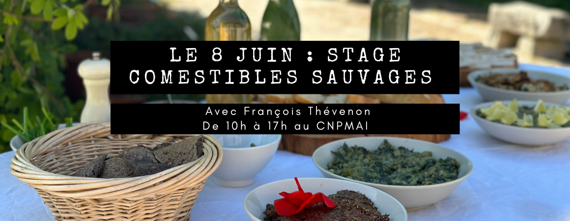 Stage comestibles sauvages 8 juini (1160 x 450 px)