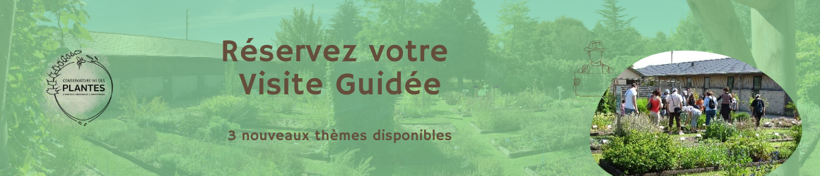 Slider Visites guidées 2025 (1160 x 250 px)