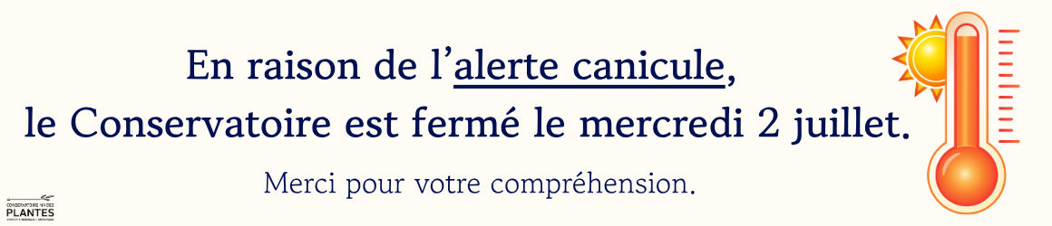 bannière alerte canicule(2)