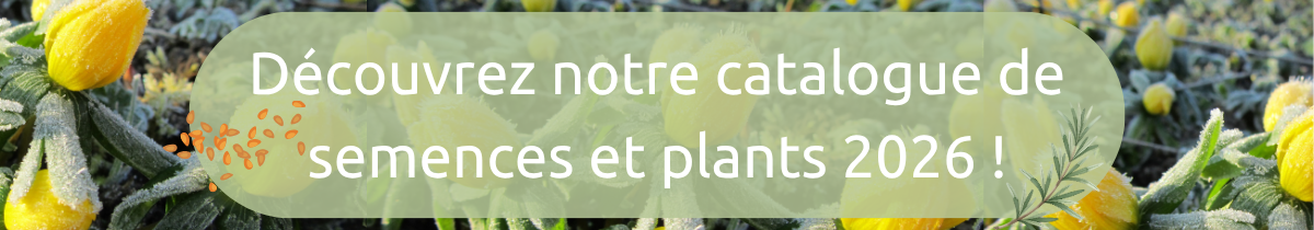 Bannière site nouveau catalogue 25 – 26