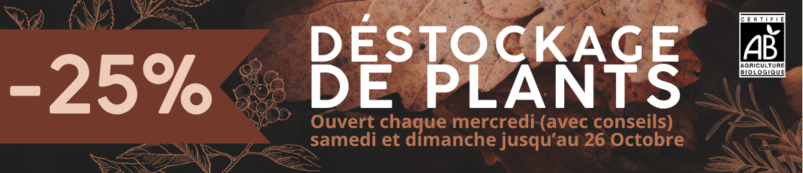 bannières pour site internet