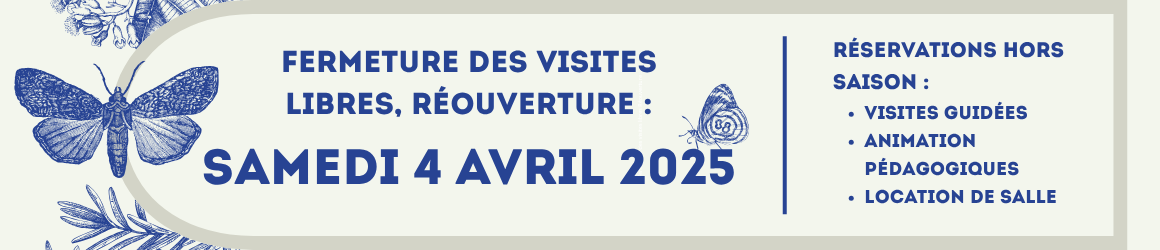 bannières pour site internet(1)