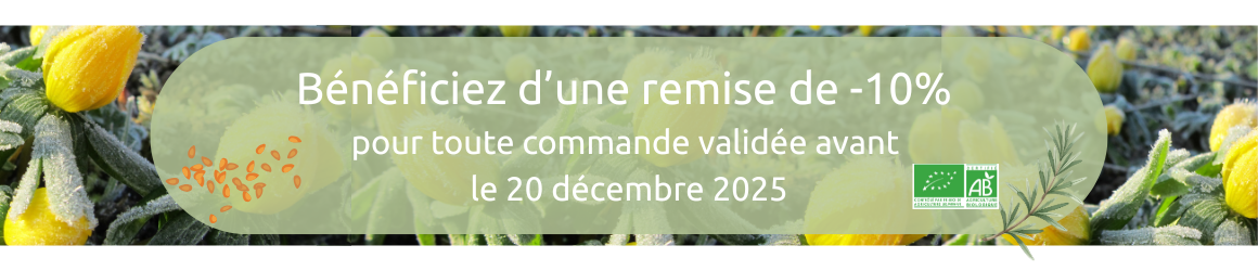 Bannière site internet (1160 x 250 px)_précde 20 dec