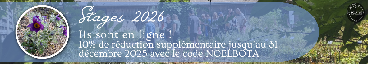 Essai bannière stages 2026 (1200 x 210 px)